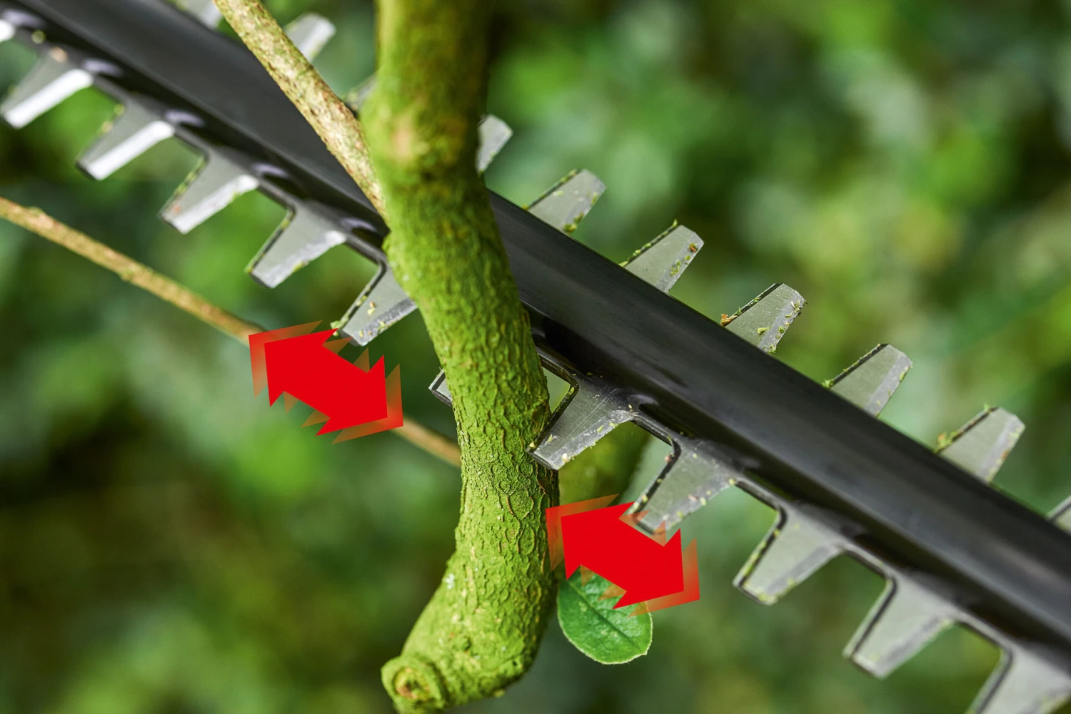 Bosch UniversalHedgePole Cordless 18v Hedge Trimmer 43cm/17in With Battery 4 Bosch UniversalHedgePole Cordless 18v Hedge Trimmer 43cm/17in With Battery - Image 4