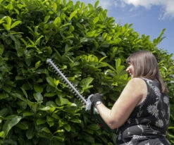 Webb V20HT Cordless 20v Hedge Trimmer 50cm/20in With Battery -Tools Shop WEV20HT 08