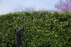 Webb V20PHT Cordless 20v Long Reach Hedge Trimmer 50cm/20in With Battery -Tools Shop WEV20PHT 06