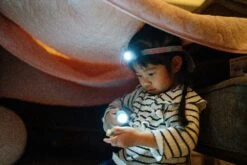 Ledlenser KidLED2 Kid's Head Torch 40 Lumens (Green Or Purple) -Tools Shop kidled2 kidbeam4 kid toy home life dsc05976 bd2e365f96